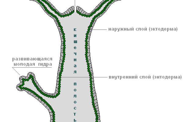 Кракен сайт 18